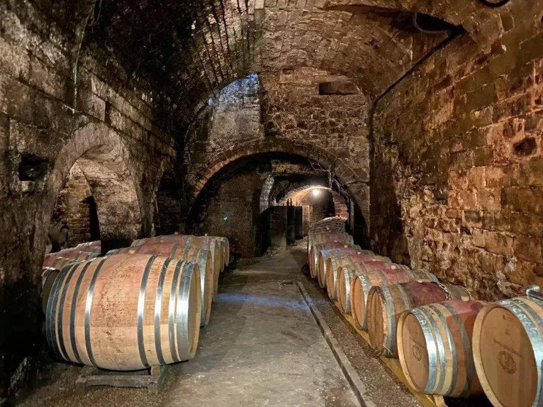 勃艮第某酒庄的酒窖,阴暗潮湿/快买酒团队