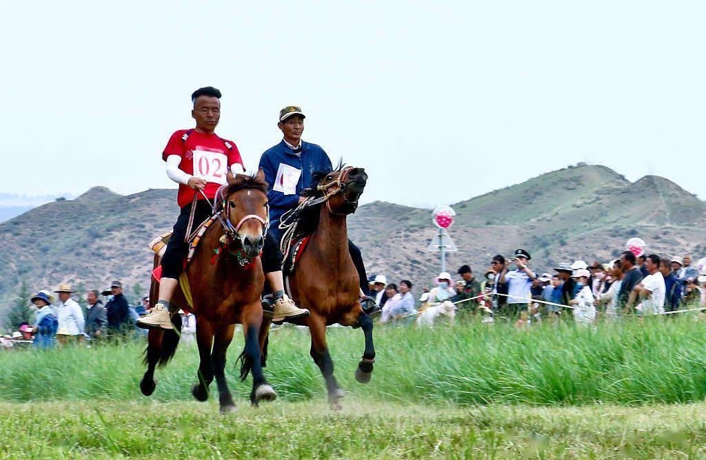 甘肃张掖:祁连山下牧民赛马会助力乡村旅游_马蹄藏族乡