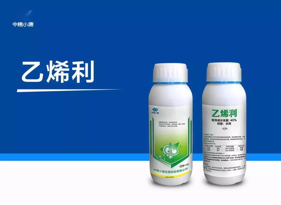 乙烯利的多种功效