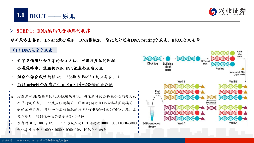 藥物分子設計 pdf_計算機輔助藥物分子設計pdf_計算機算法設計 pdf