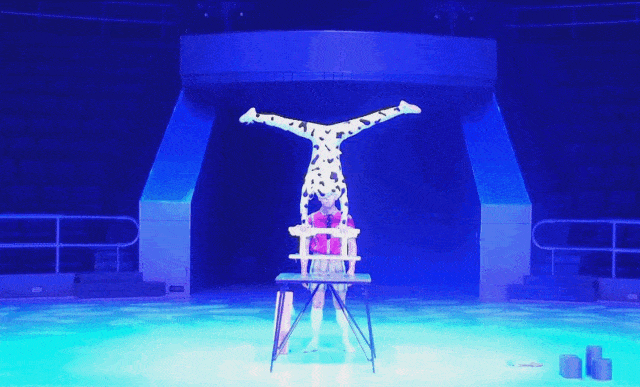 640_387gif 动态图 动图