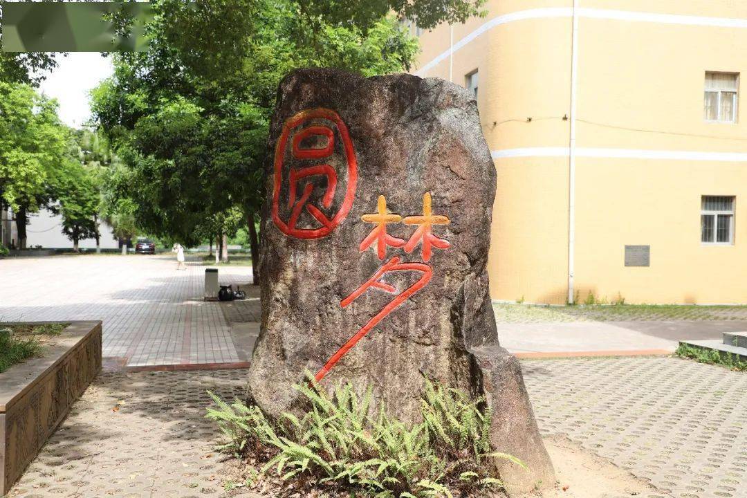 谢岗中学普高上线率72.87% "六大校"上线率比去年增加