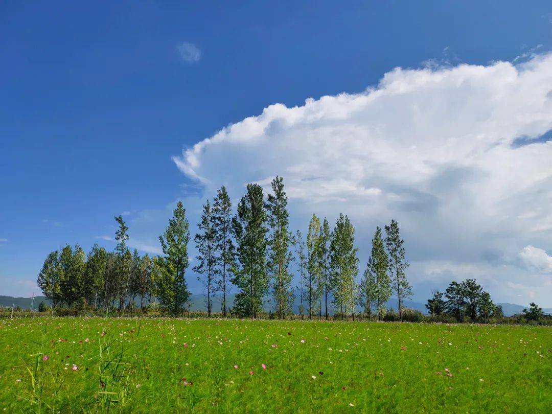 是美到令人尖叫的夏日景色!_夏天