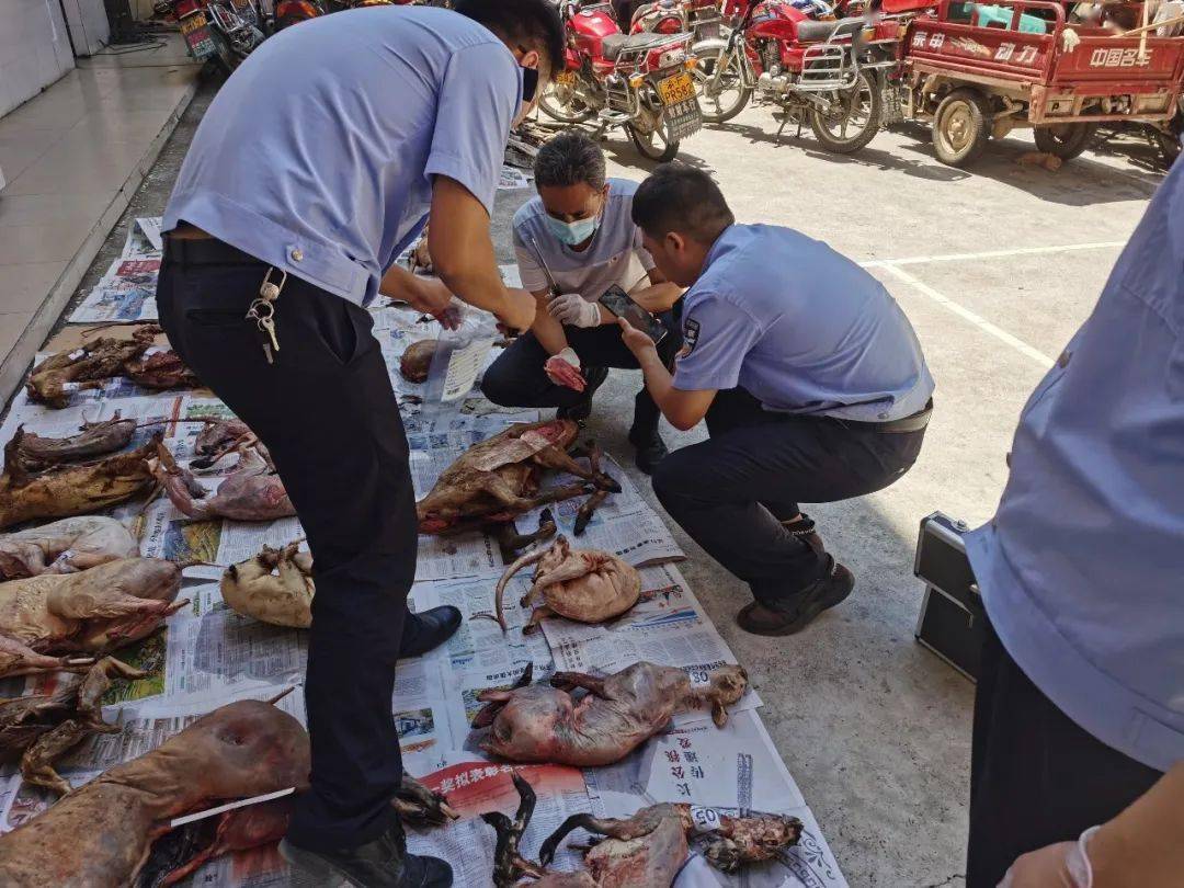 开州一男子非法捕杀野生动物,被采取刑事强制措施!