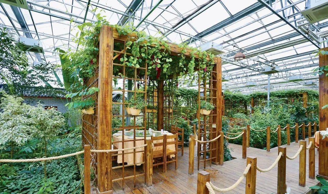 在这夏末秋将至的季节与家人,朋友来五彩田园生态餐厅赴一场惬意的