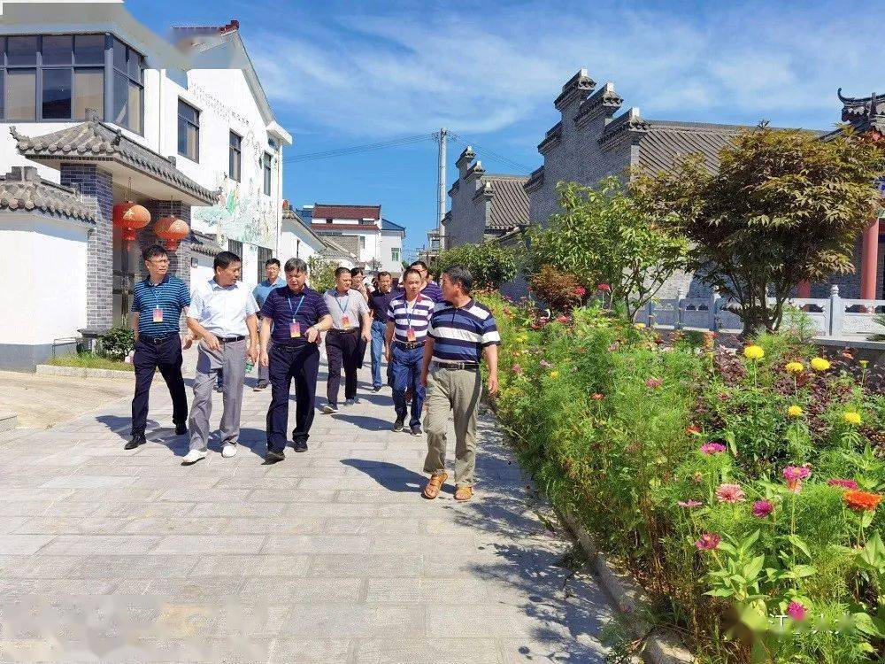 禄口街道:人大代表共绘"村居图"