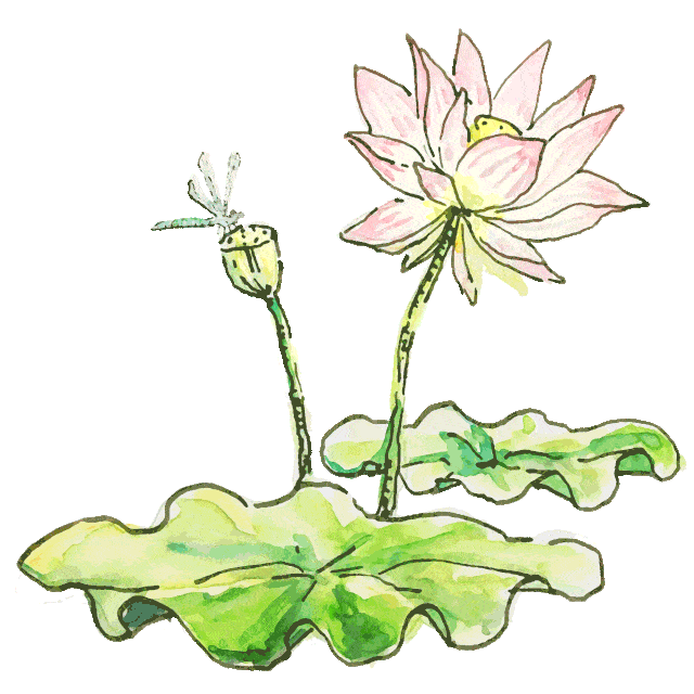 640_640gif 动态图 动图