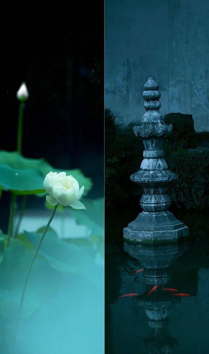 【舞 雩】《诗经》188《小雅·我行其野》-搜狐大视野-搜狐新闻