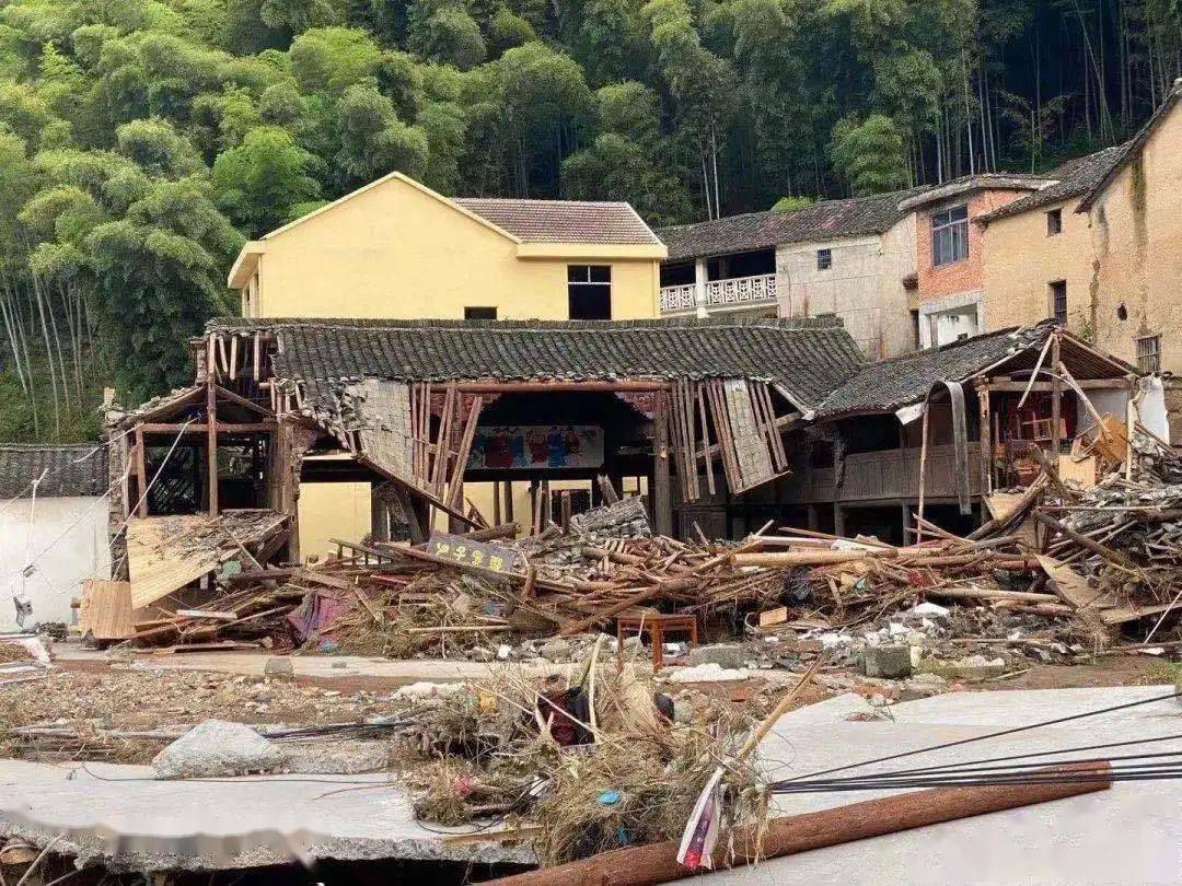 聚木成"林",重建古村——共青团助力画水镇林村灾后重建_东阳市