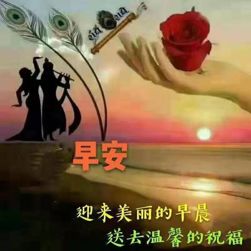 你是一輪光芒萬丈的太陽,是整個宇宙的天使;我是一彎嫻靜雅緻的月亮