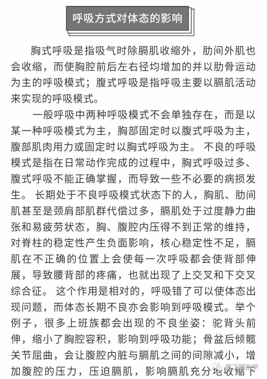 膈肌是什麼肌有上交叉下交叉的人都該看看了