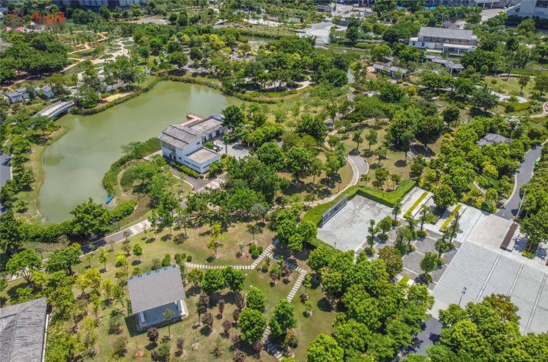 彩虹绿洲湿地公园潘晓佳摄中山美术馆是岐江公园的主体建筑,楼高两层