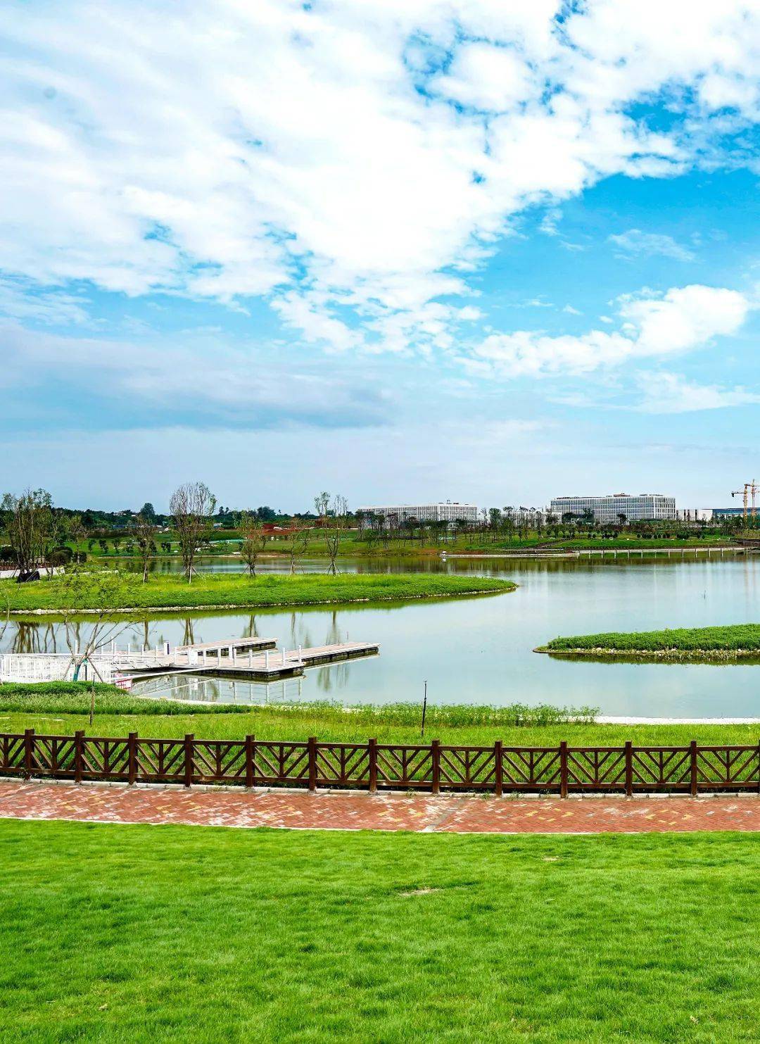 新区,被定格的"绿"动之美_公园