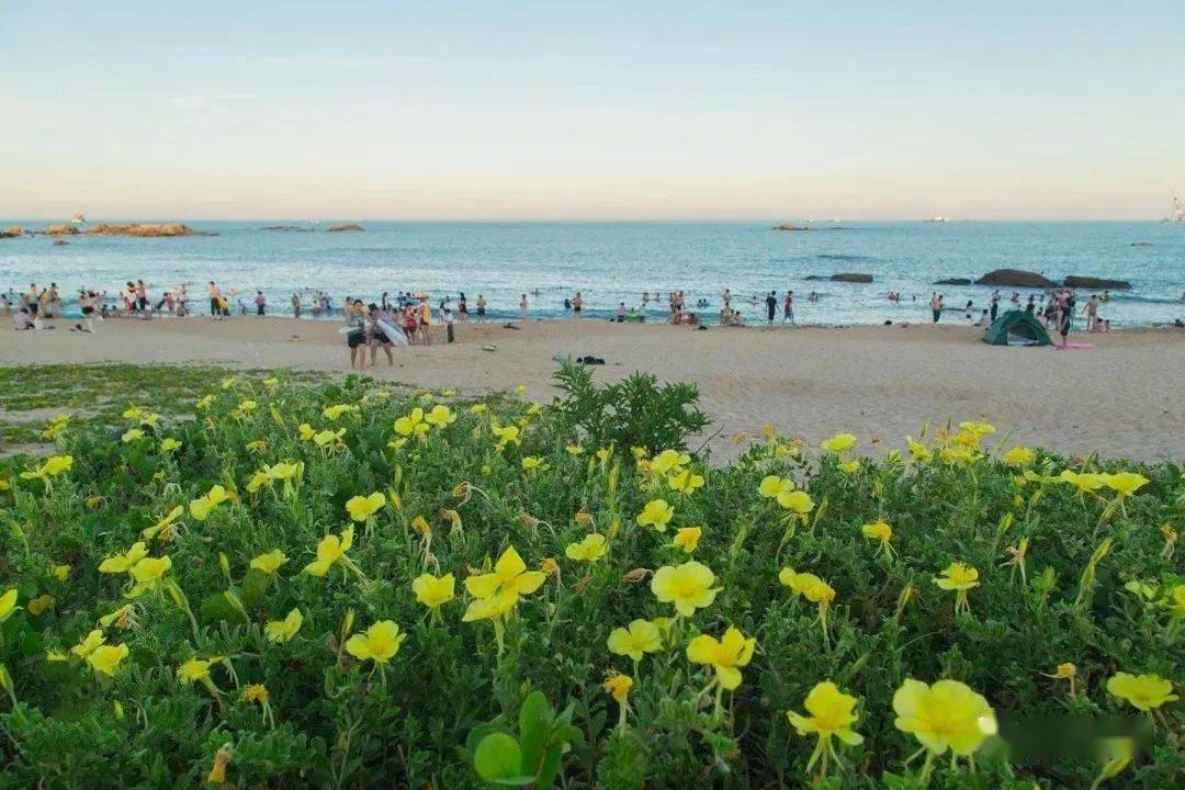 【风光】靖海镇坂美村:原生态的海滩风情,等着你!_惠来