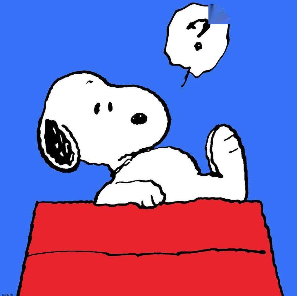 一只狗的生活意见:你可以悲伤,但绝不能被打倒_史努比