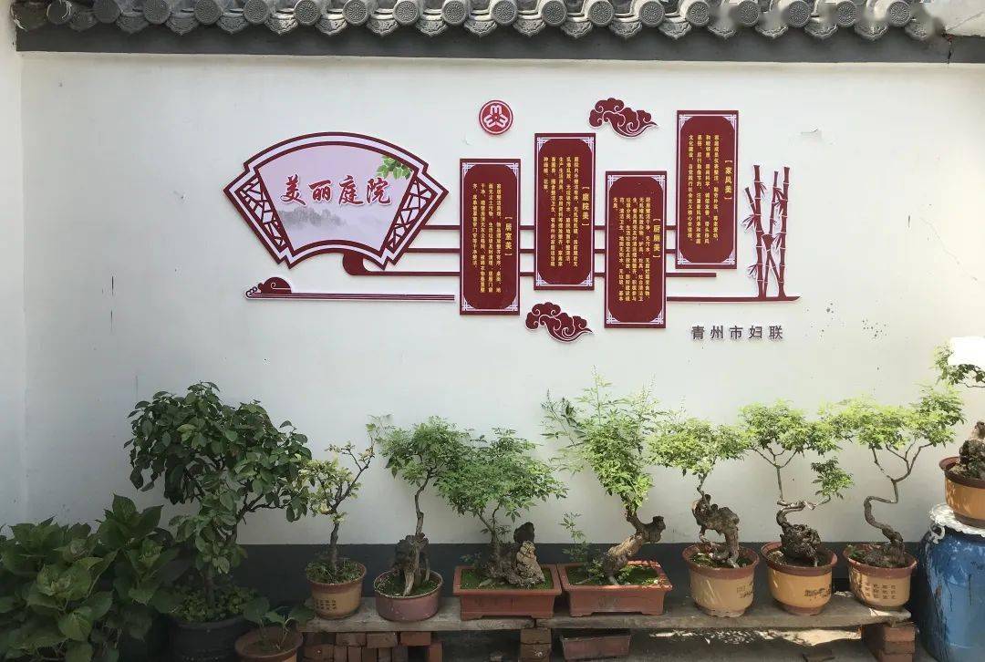 家家"六有六讲",青州因地制宜打造特色美丽庭院