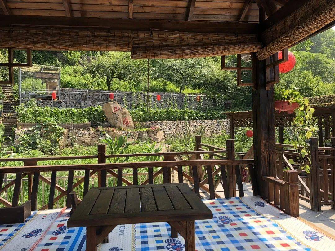 这个"水果村"太香香香…了!还能住在"名人"家