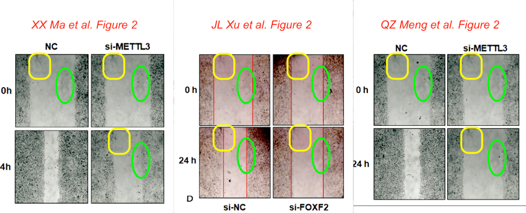 五篇論文的圖1均顯示了帶有誤差線的黑色條形圖以及帶有藍線和紅線的