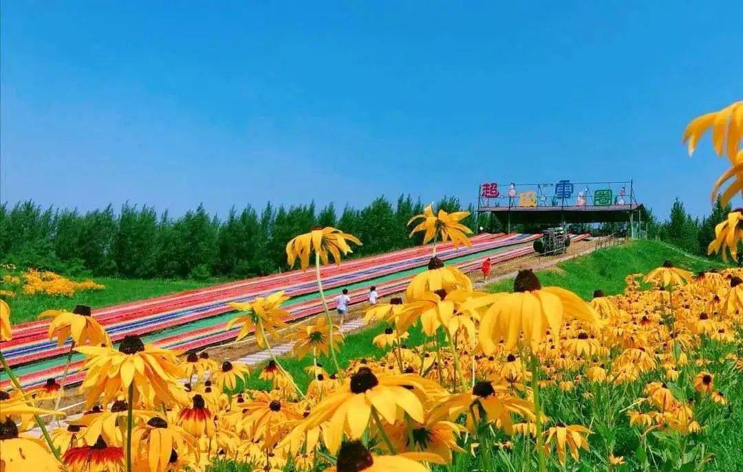 观察目的地:乡村旅游经营单位——吉林市金珠花海
