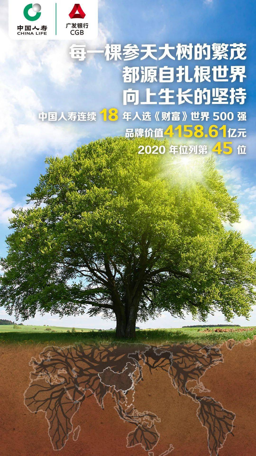 每一棵参天大树的繁茂都源自扎根世界向上生长的坚持庆典福 康悦 百万