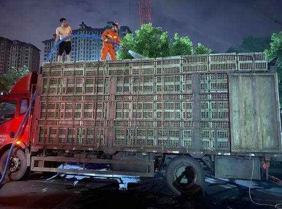 接到一起求助,一辆从河南开往温州的运鸭车在杭州三墩收费站边抛锚了