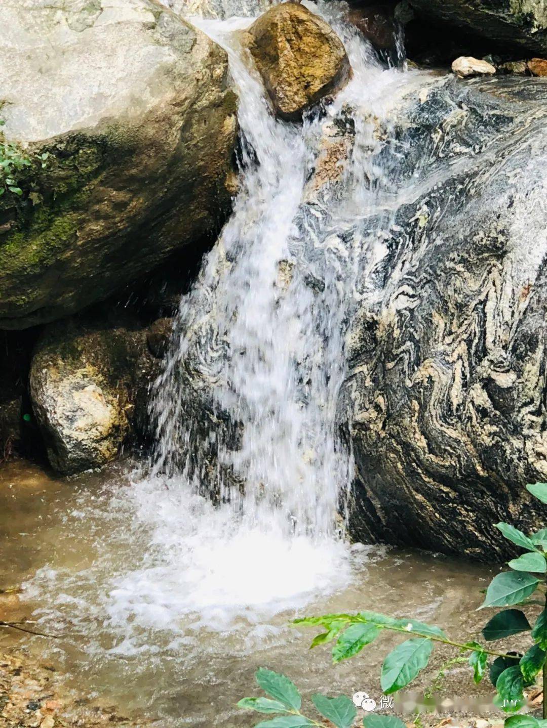 老树,老院,老历史车谷砣村原名车轱辘坨村,是灵寿县西北部深山区的一