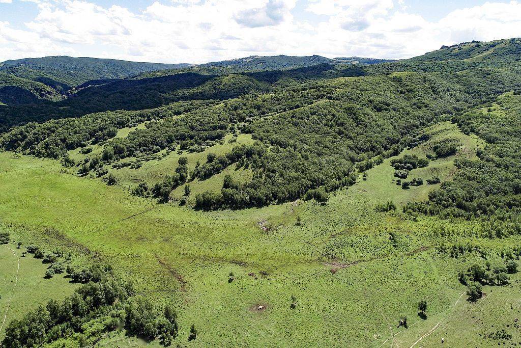 2020年8月12日,内蒙古赤峰,乌力吉沐沦河国家湿地公园,河谷湿地景色.