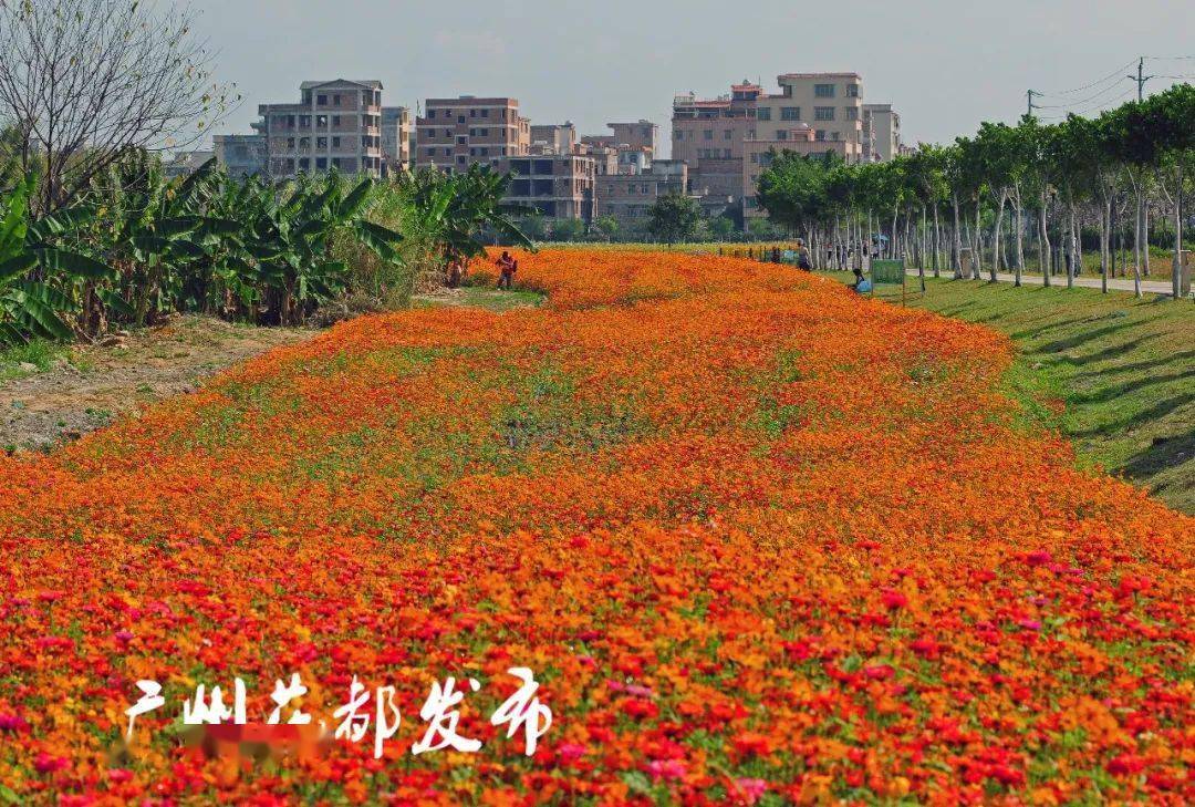 花都湖公园,狮岭镇联星村叶