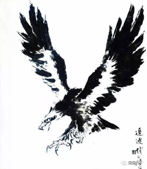 国画大师教你鹰的画法