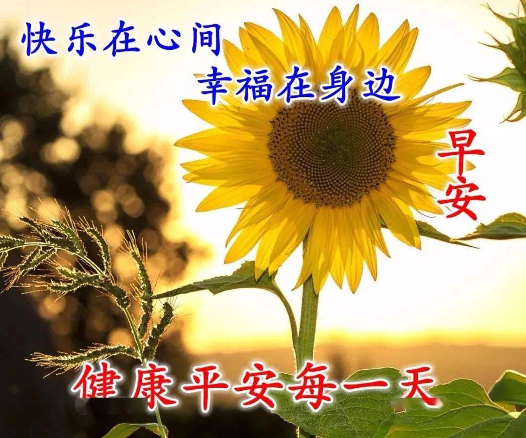 初秋溫暖的早上好問候語表情祝福圖片早晨好問候祝福圖片大全