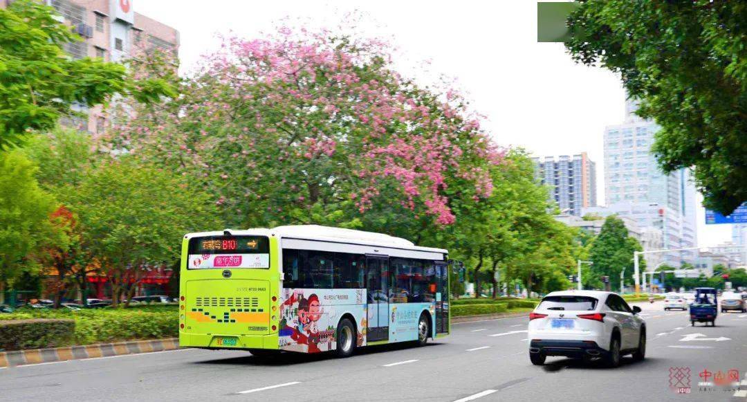 看三乡美景这条全域旅游公交专线开通啦