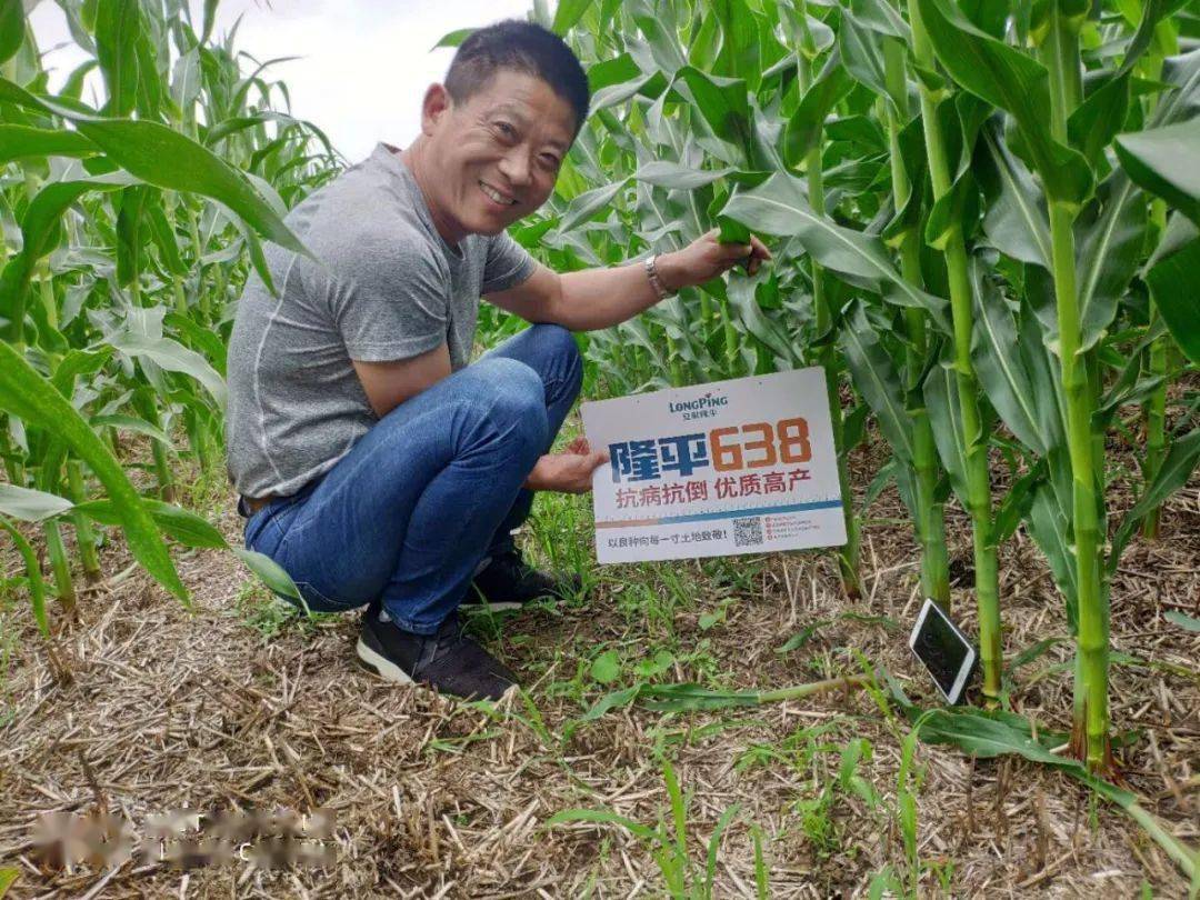 直播预告明天1620分隆平638育种人要来