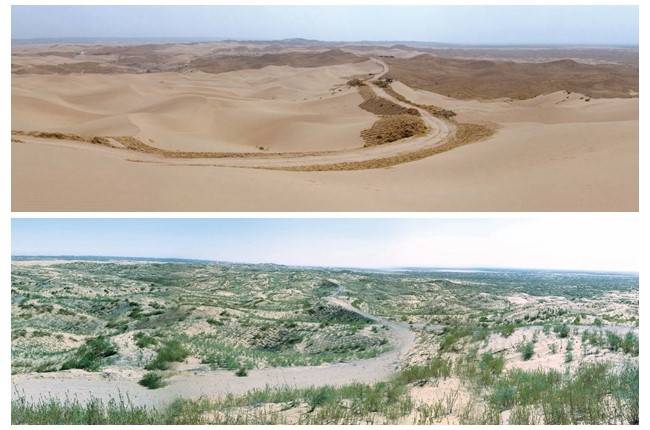 毛乌素沙漠对比图片