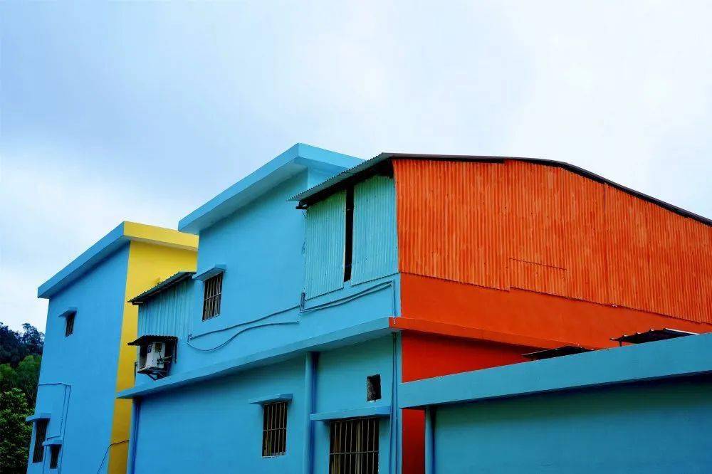 走向我们的小康生活江海区彩虹村换新装添美颜村民笑开颜