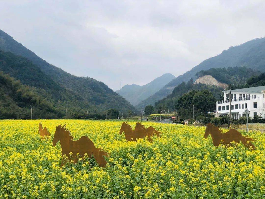 喜报河上镇正式被命名为囯家卫生乡镇