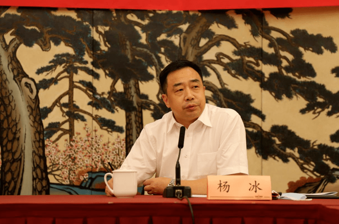 会上,杨冰介绍安徽省侨联特别是中国科技大学推进"地方侨联 高校侨联