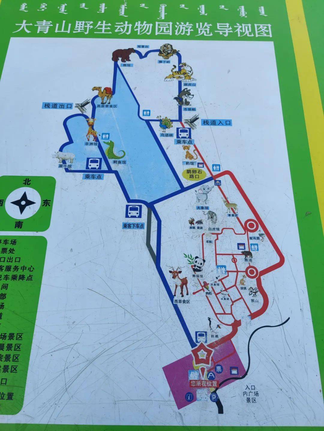 呼市的动物园现在变成这样的了!有熊猫,长颈鹿._大青山