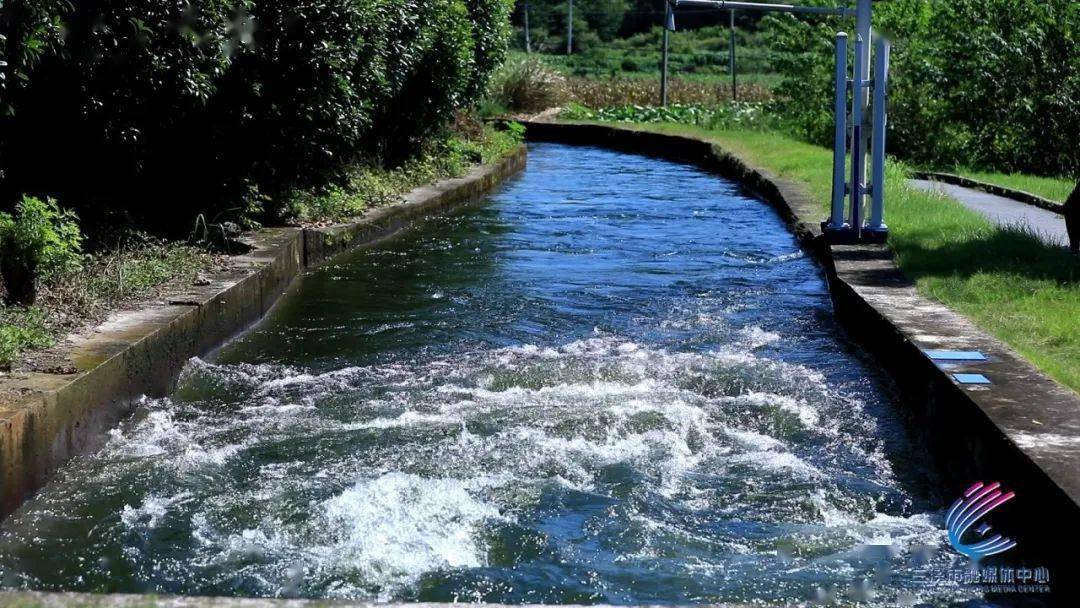 东风水库灌区开启今年第一轮放水,灌溉万亩农田!