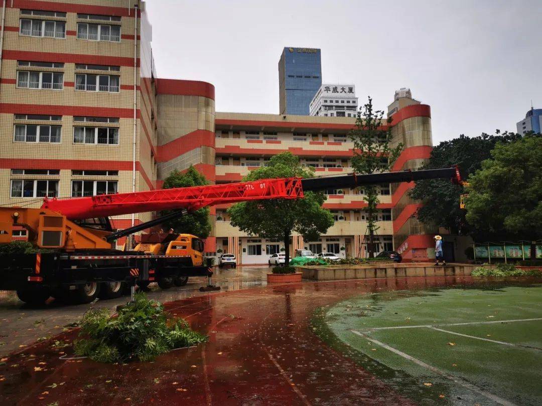 立美播报剪树木除隐患保安全南京市石鼓路小学开展假期安全隐患排查及