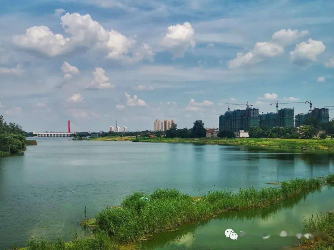 生态涡阳白云飘老子故里风光好