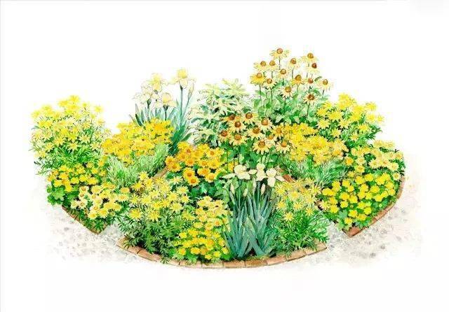 101款手绘花园院子(植物小景)_花镜