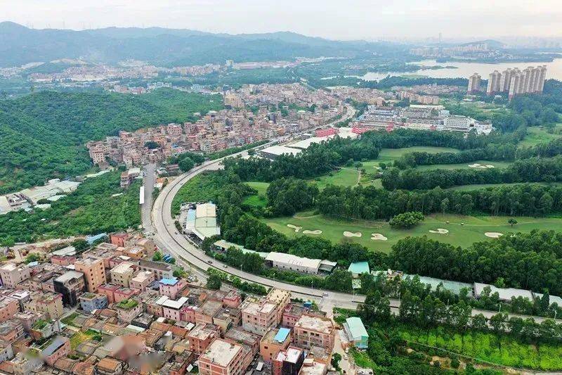 荔枝厚街镇大迳社区图片来源:网络中华草龟中堂镇凤冲村揭秘这17条村