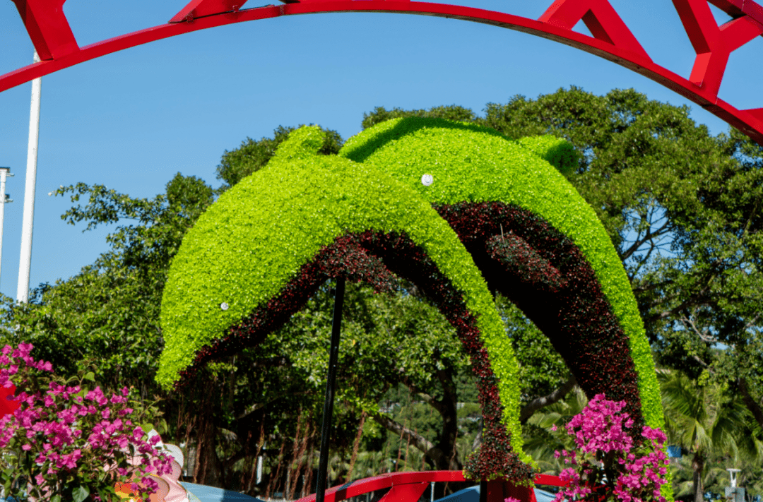 珠海新增一大波网红打卡点!超多美图来袭…_景观