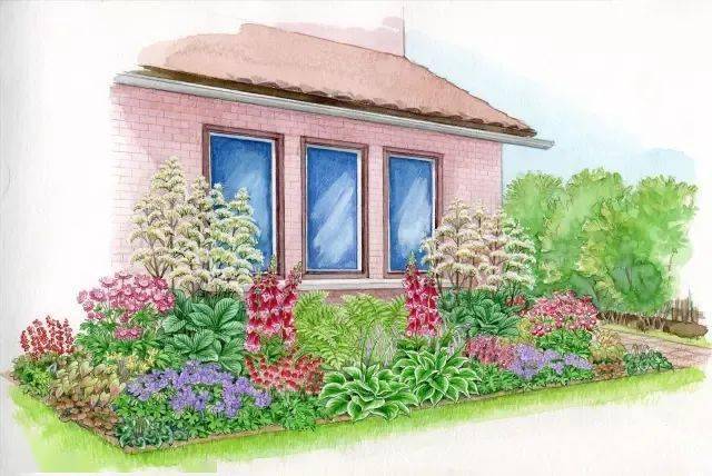 101款手绘花园院子植物小景