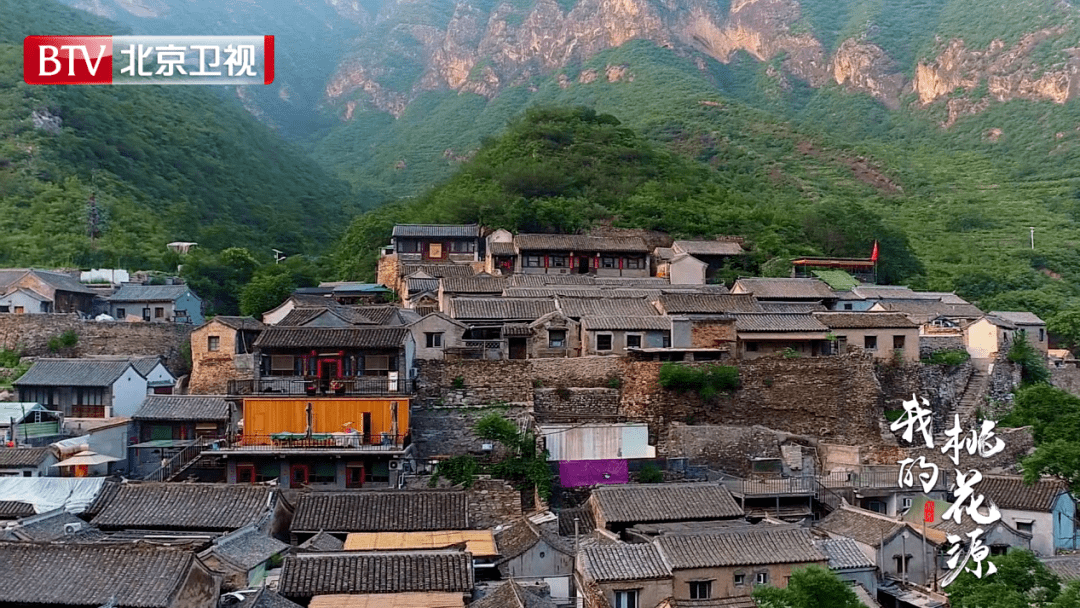 我的桃花源今日2150开播