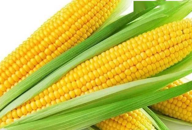 【养生】玉米常吃对身体好,但要避免此类吃法,早知早预防!