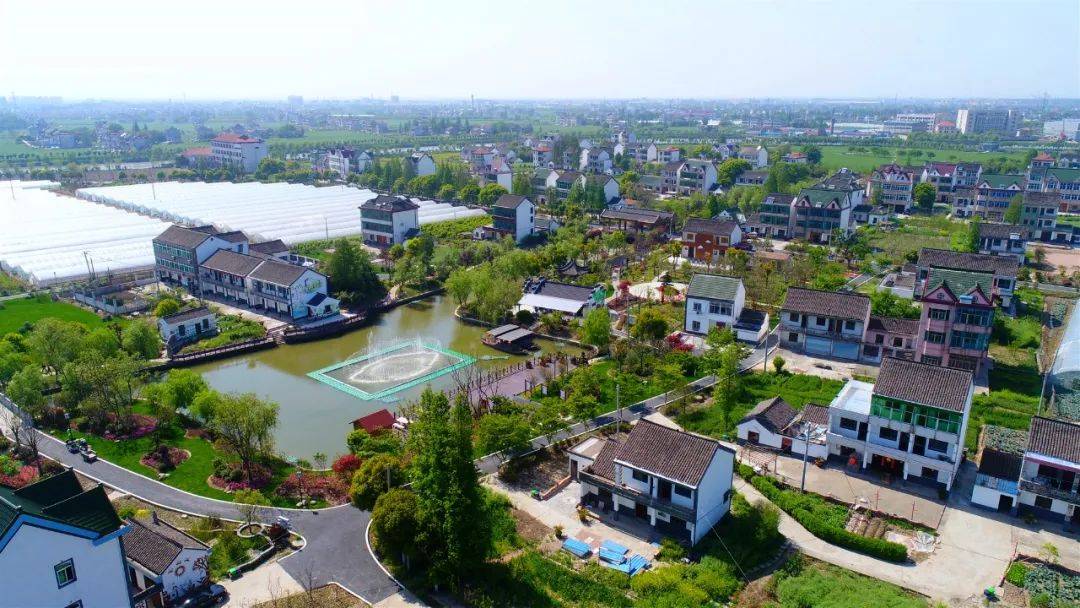 新埭喜提国家级称号!_新埭镇