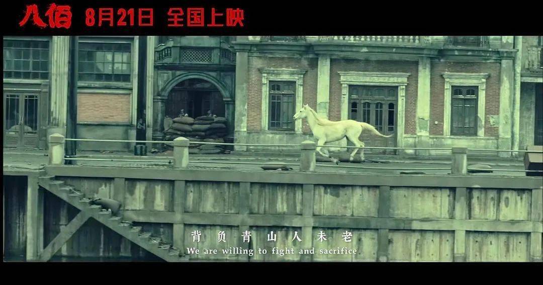 《八佰》the eight hundred,2020年最近豆瓣上有个电影中的"马"的活动