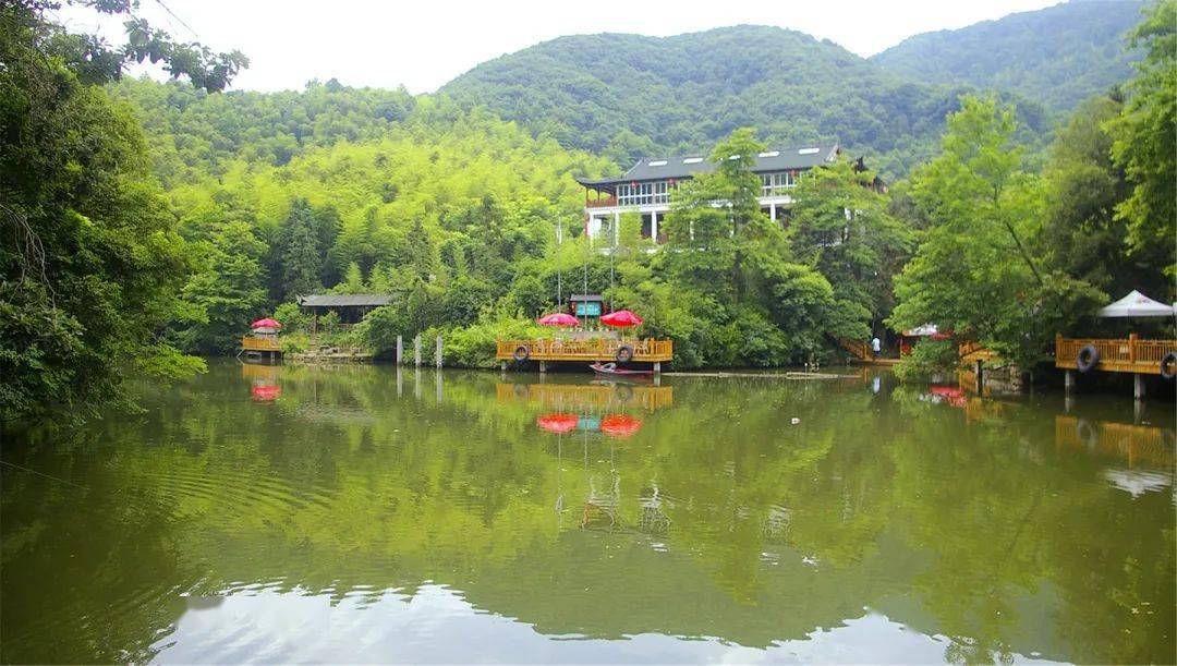 舜姬葡萄园金渔湾农庄(午餐)石苍山·隐(午餐)稽东镇大桥村海丰花园