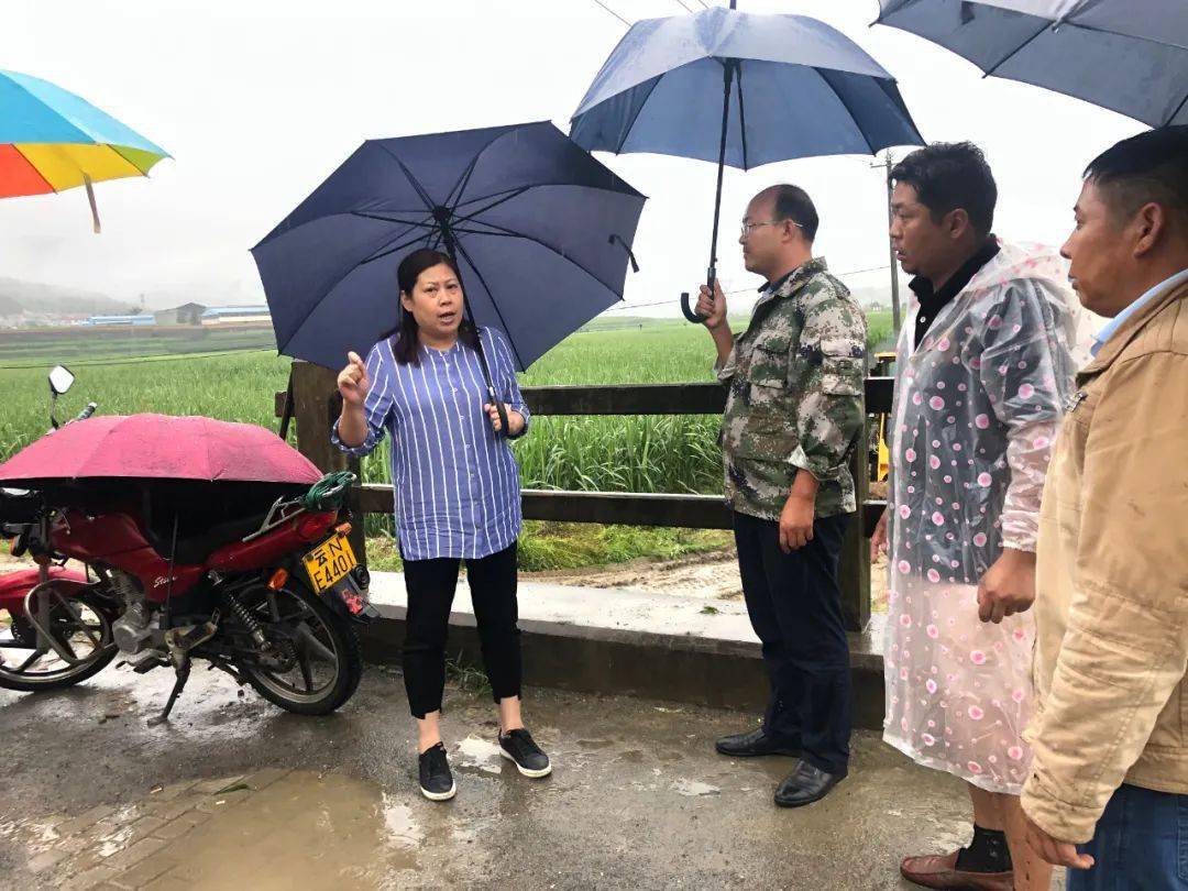 县长龚翠莲深入地质灾害隐患点查看灾情